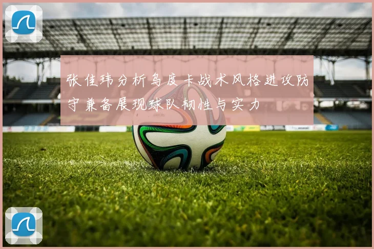 张佳玮分析乌度卡战术风格进攻防守兼备展现球队韧性与实力