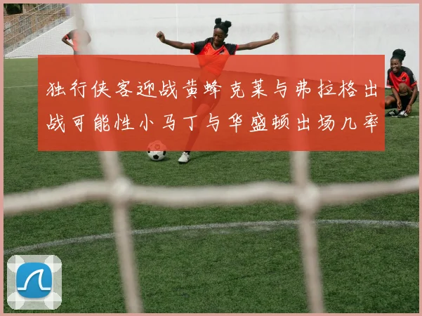 独行侠客迎战黄蜂克莱与弗拉格出战可能性小马丁与华盛顿出场几率高